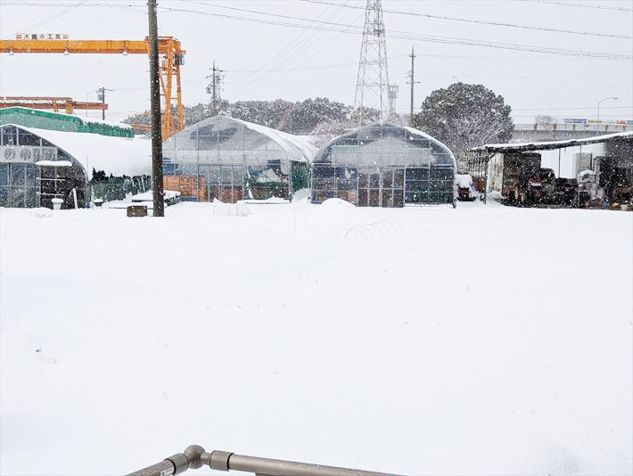 就労継続支援B型フレーベルにて雪遊びする様子