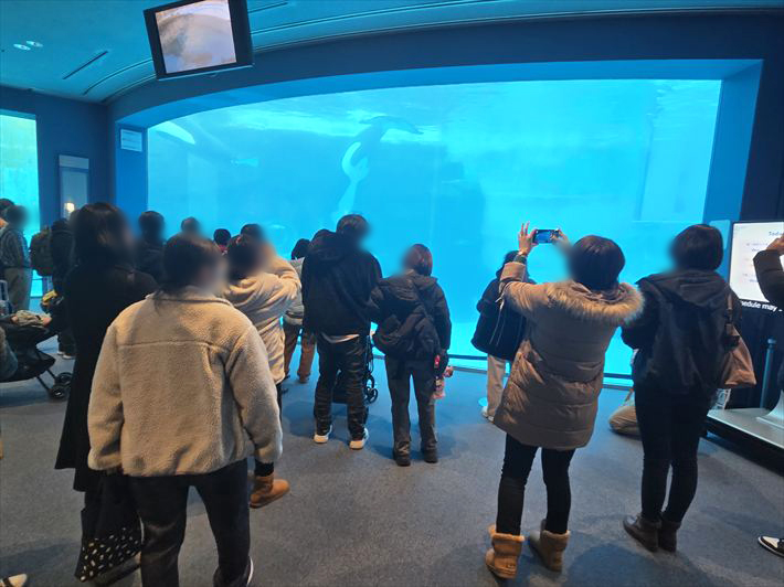 就労継続支援B型フレーベル_名古屋港水族館に出かけました