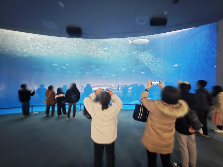 就労継続支援B型フレーベル_名古屋港水族館に出かけました