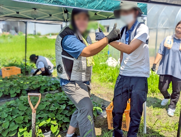 就労継続支援B型フレーベル_草むしり奮闘記