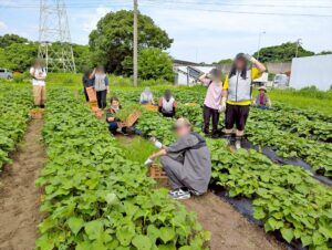 就労継続支援B型フレーベル_草むしり奮闘記