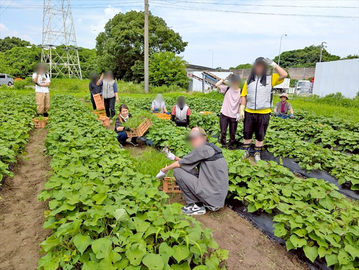 就労継続支援B型フレーベル_草むしり奮闘記