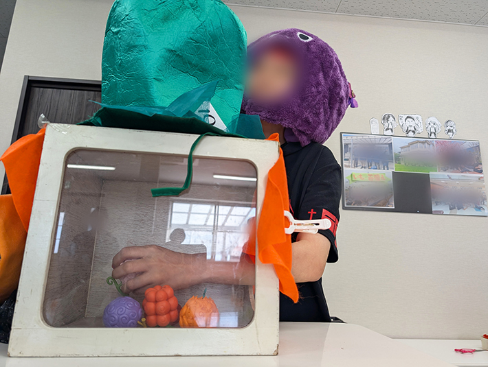 フレーベル_ハロウィンレク_ミステリーBOX