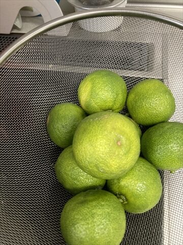 自家製青唐辛子で柚子胡椒作り