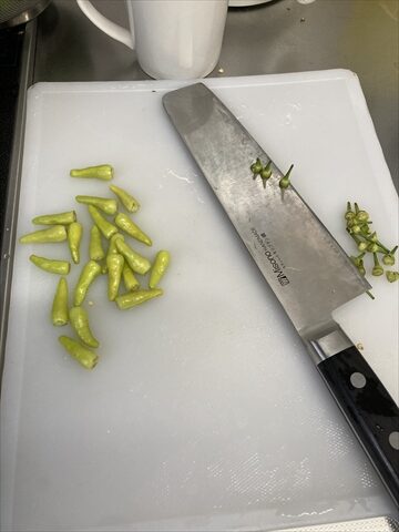 自家製青唐辛子で柚子胡椒作り