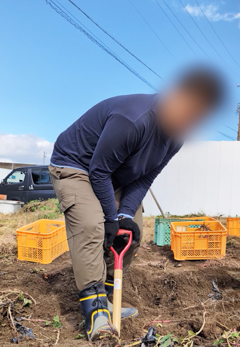 フレーベル_芋ほりレク