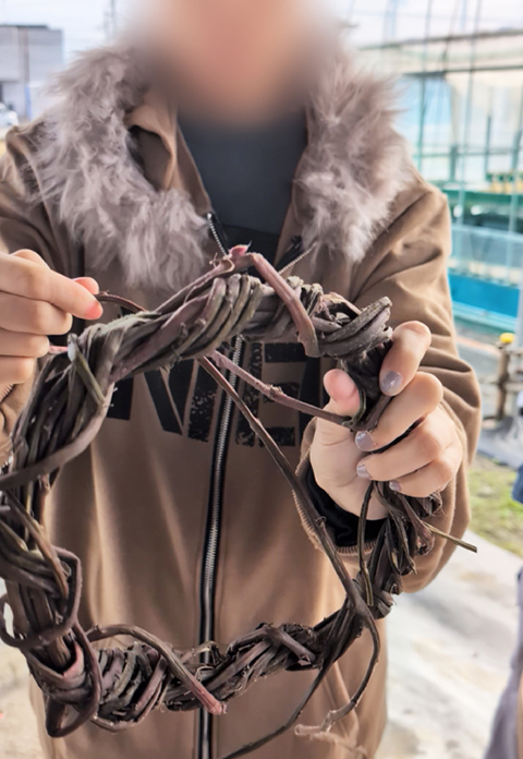 フレーベル_芋ほりレク