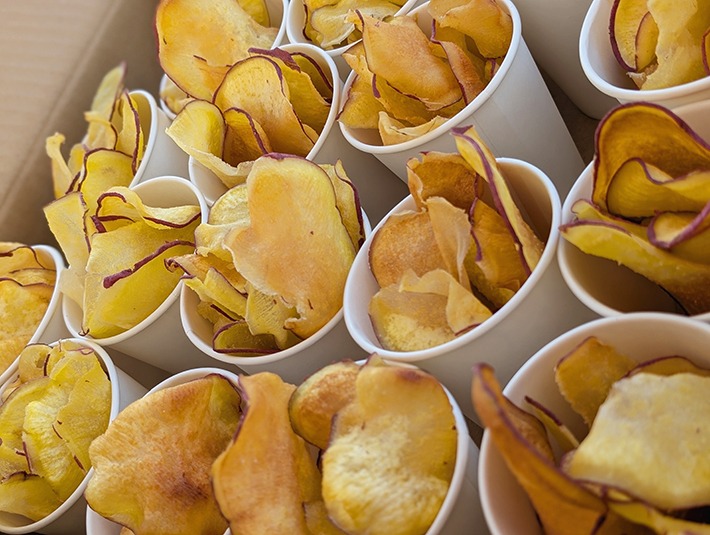 フレーベルいもほり体験