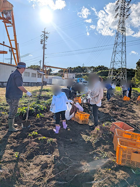 フレーベルいもほり体験