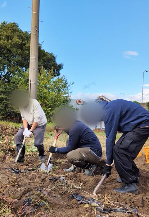 フレーベル_芋ほりレク