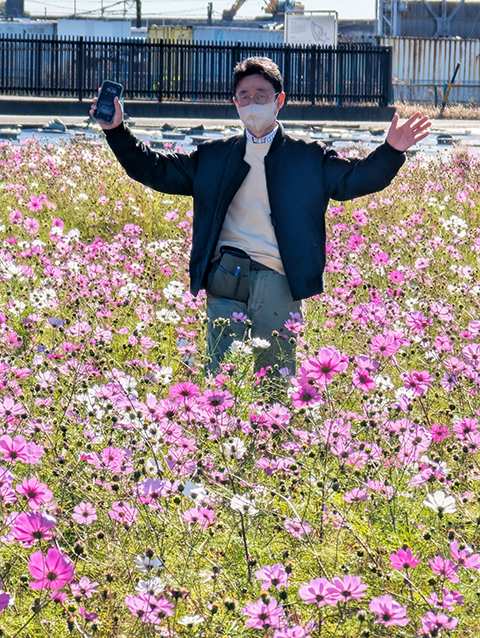 フレーベル_コスモス畑