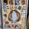 ねこ休み展