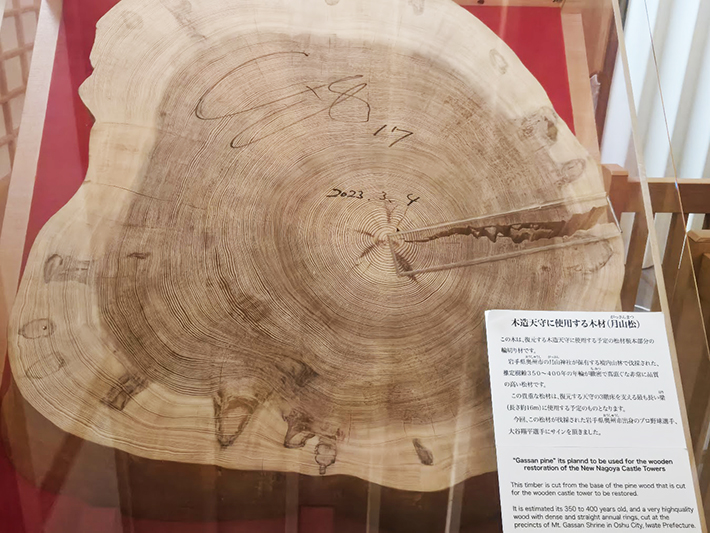 オリーブ名古屋城レク