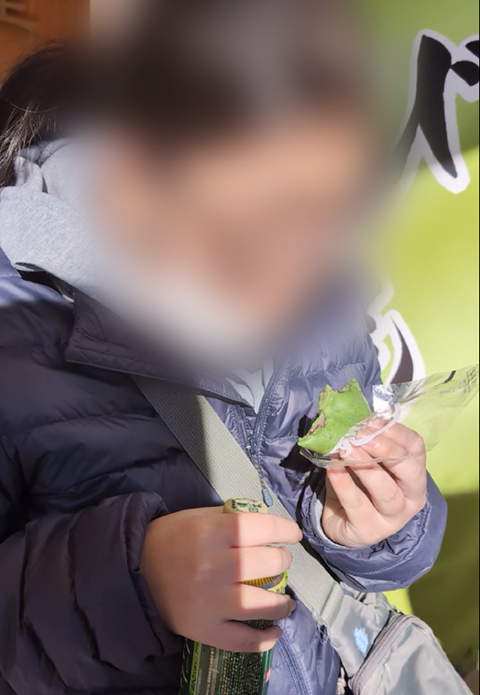 フレーベル_おちょぼ稲荷初詣