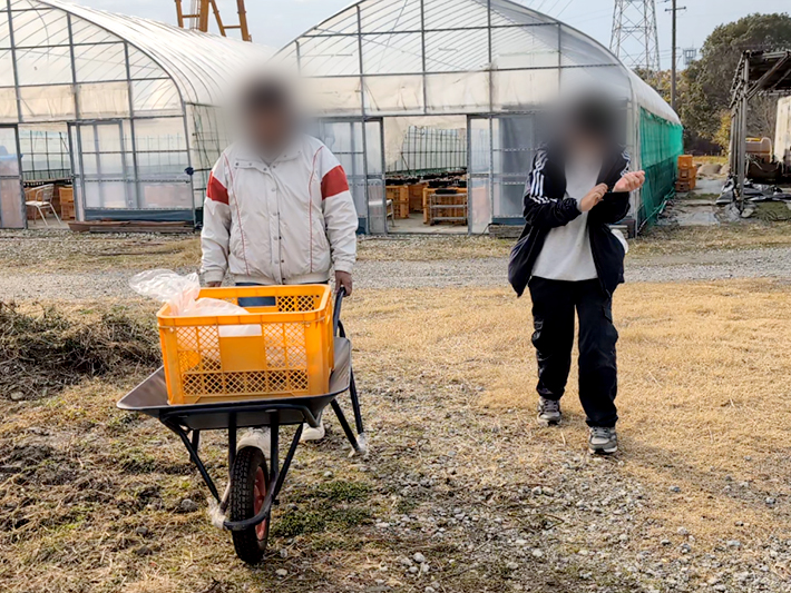 フレーベルさつまいも販売