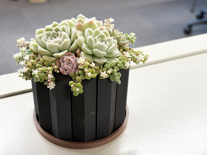 ITカレッジ3D制作物