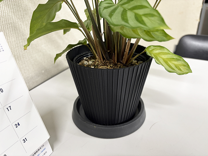 ITカレッジ3D制作物