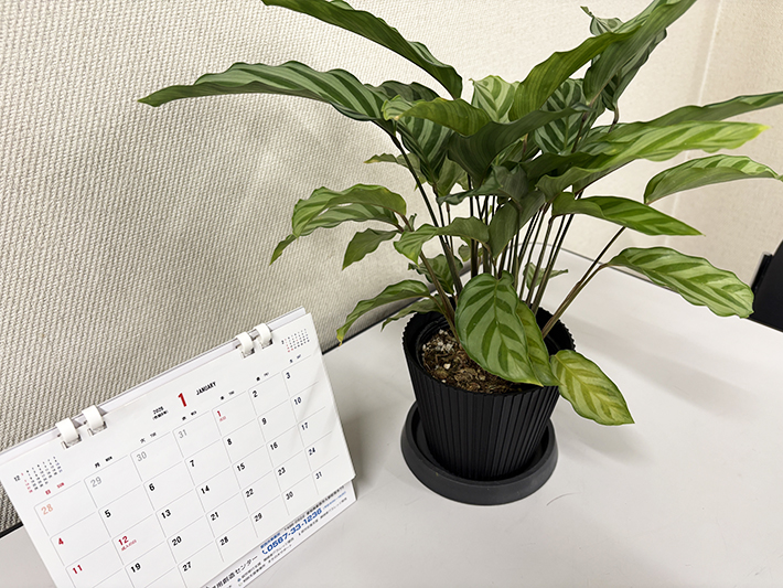 ITカレッジ3D制作物