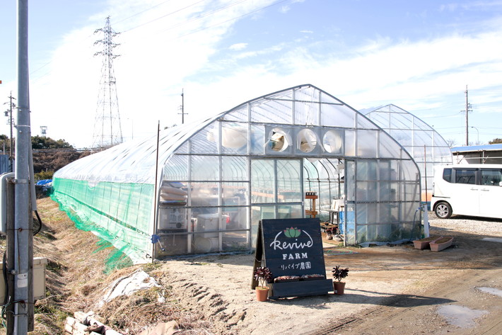 フレーベル_ビニールハウス