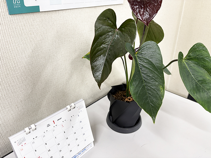 ITカレッジ3D制作物