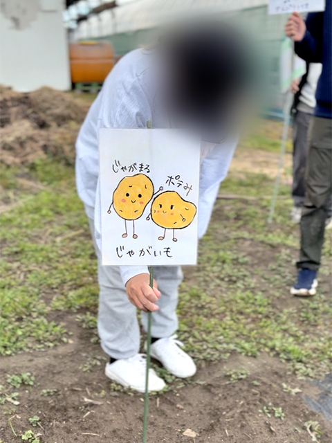 フレーベル畑_かわいい野菜イラストの看板