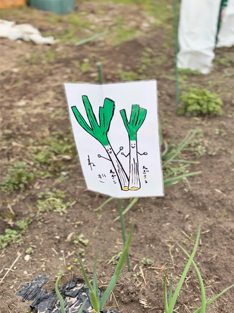 フレーベル畑_かわいい野菜イラストの看板