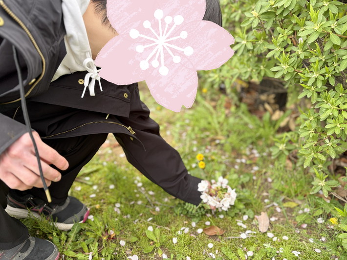 七宝焼きアートヴィレッジ_桜の風景