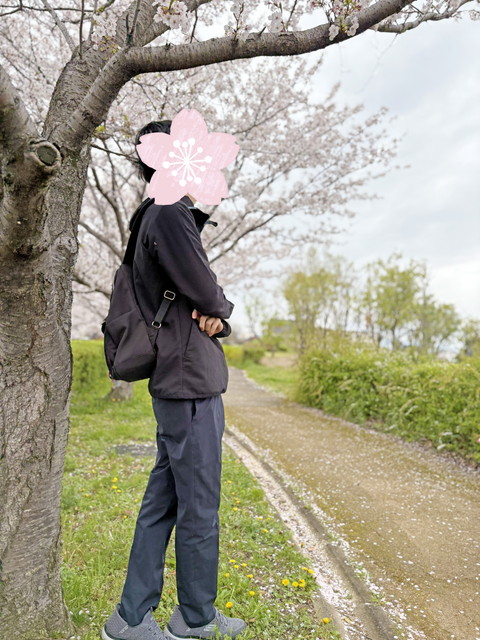 七宝焼きアートヴィレッジ_桜の風景