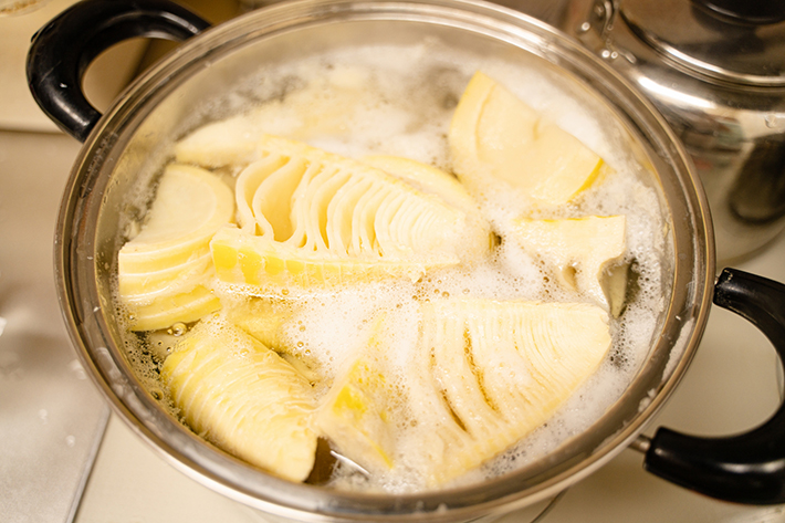 オリーブ_たけのこ堀り