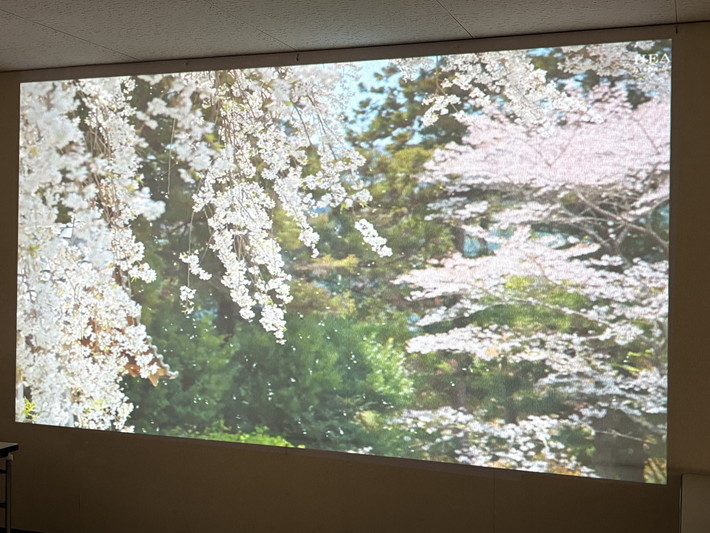 花より団子!?笑顔満開のお花見レク風景_障害者雇用創造センター