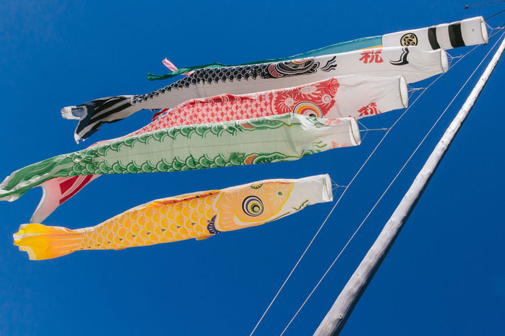 こいのぼり（画像はイメージです）