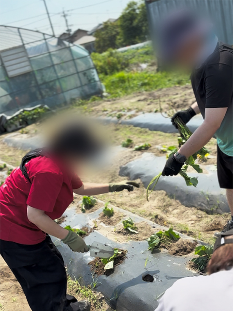 「お願いします」と手渡されたさつまいもの苗を大切に受け取り、スコップを使って最適な深さに一本ずつ心を込めて植える訓練生。
