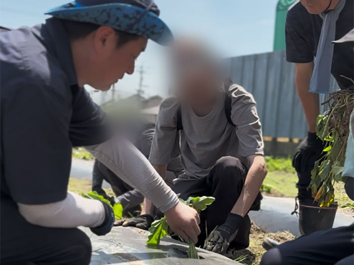 いよいよ始まった苗植え。グループに分かれ、「穴を開ける」「苗を渡す」「植える」といった役割分担をしながら活気よく進める時間。