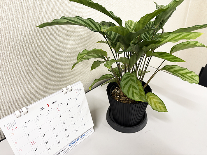 3Dプリンタ鉢にフェイクグリーンを合わせ、フレーベルイベントでの販売に向けて準備されたインテリア用の完成イメージ