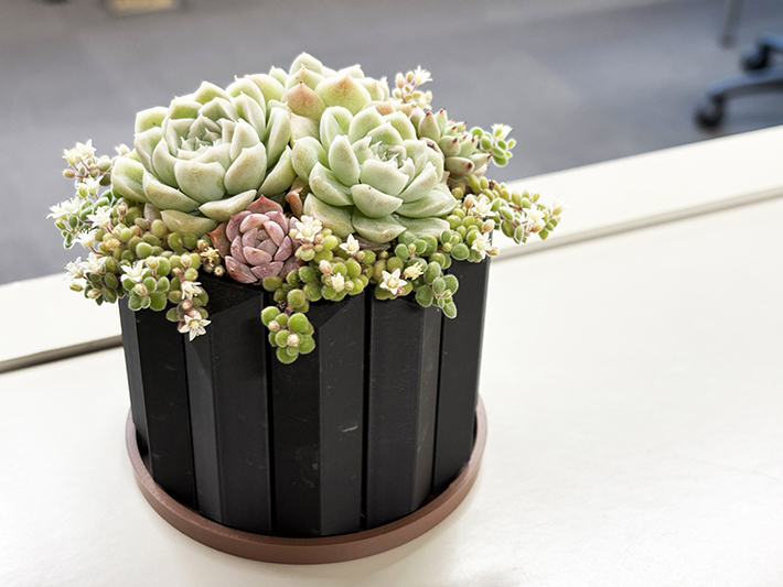 フレーベルで大切に育てられた多肉植物を、ITカレッジ愛西とろーたすの利用者が3Dプリンタで制作した専用鉢に植え込んだ連携作品
