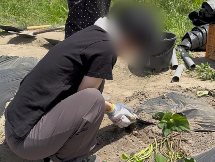 植え付けた苗の根元に優しく土を被せ、土壌としっかり馴染むように手で押さえて仕上げを行う丁寧な作業。