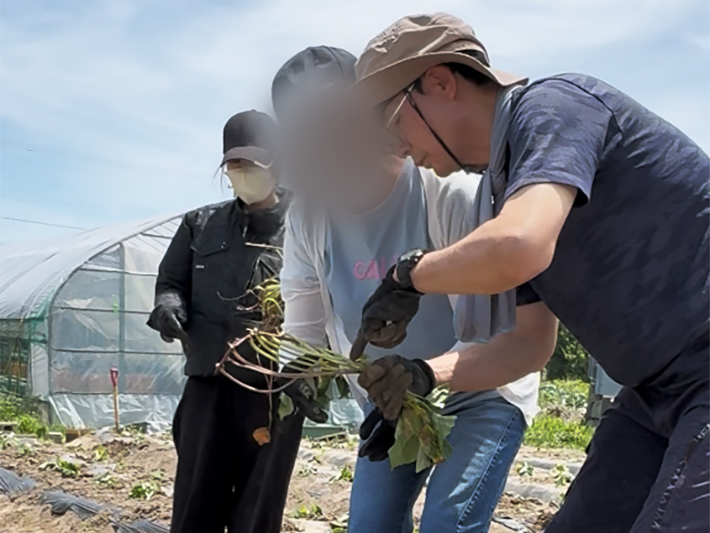「ここはこうすると植えやすいよ」と、利用者同士でコツを教え合い、共に成長しながら作業を楽しむ微笑ましい場面。