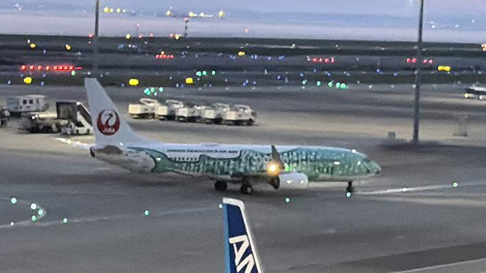 沖縄の美ら海水族館とコラボしたJAL（JTA）の「結ジンベエ」特別塗装機。機体全体に描かれたジンベエザメが、空を泳いでいるかのようなユニークな姿。