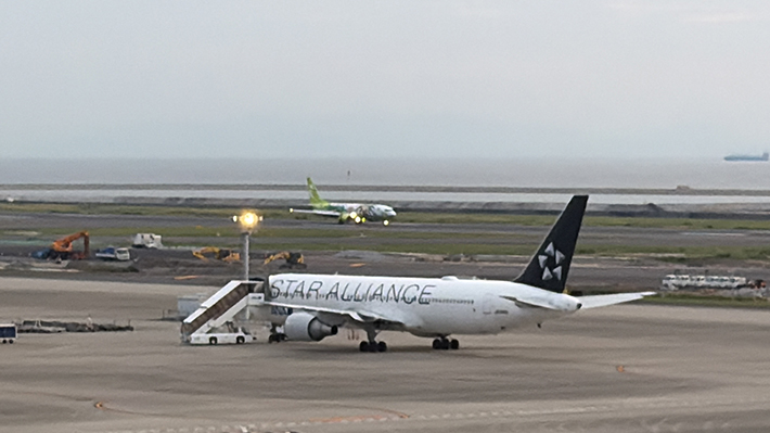 世界最大の航空連合「スターアライアンス」のロゴを纏った全日空（ANA）の特別塗装機。通常の塗装とは一味違う、グローバルな特別感を感じさせるデザイン。