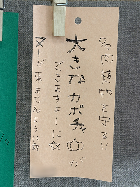 七夕のイベントで「大きなカボチャができますよーに☆」と短冊に書かれた願い事。まだ小さかった苗が元気に大きく育ってほしいという、フレーベルの訓練生とスタッフみんなの期待が込められた、栽培プロジェクトの始まりを象徴する一枚。