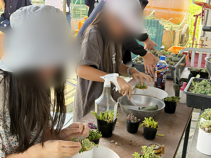 フレーベルの特色である多肉植物を活用した寄せ植えワークショップ。農園で大切に育てられた苗を使い、参加者が自分だけの小さな庭「Hakoniwa」を創造する、フレーベルならではの体験型プログラム。