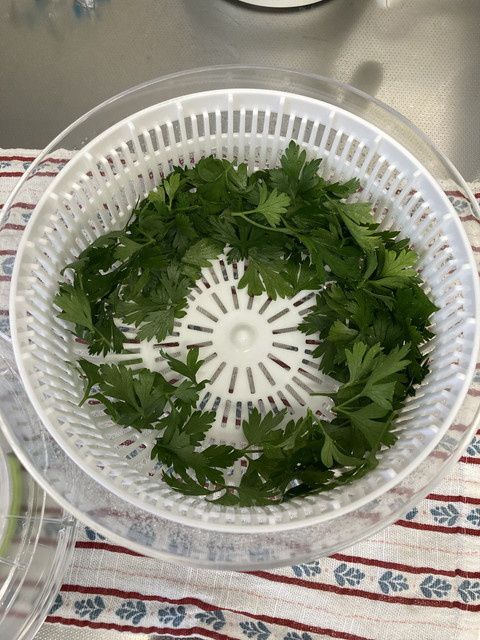 作業効率アップのために導入された「野菜の水切り器(サラダスピナー)」。紐を引っ張るだけで簡単に水気が飛ばされ、遠心力で容器の内側に張り付いたパセリ。手作業での拭き取りという気の遠くなる工程を劇的に改善した「新しい相棒」の活躍。