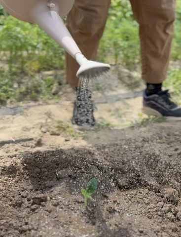 育ったズッキーニの苗をフレーベル農園の畑に植え付け、「大きくなってね」と声をかけながらじょうろで優しく水やりをする様子。土をかぶせる作業もお手の物で、丁寧に栽培を進める訓練生とスタッフの温かな農作業風景。