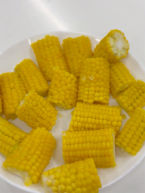 フレーベルの畑で苗から毎日大切にお世話をし、この夏休みの終わりにみんなで収穫したばかりのツヤツヤと輝く新鮮なトウモロコシ。自分たちの手で愛情を込めて育て上げた、ずっしりと実の詰まった農園の収穫物。
